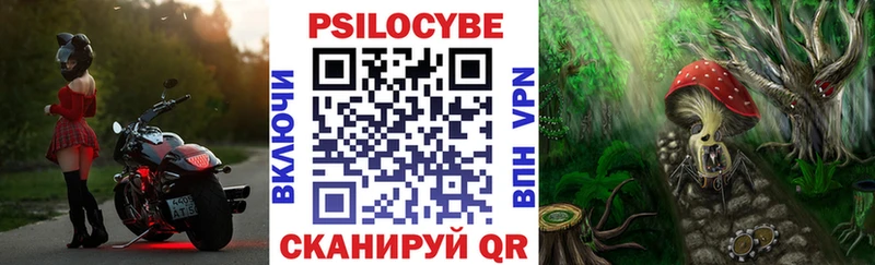 кракен как войти  Сокол  Галлюциногенные грибы MAGIC MUSHROOMS 
